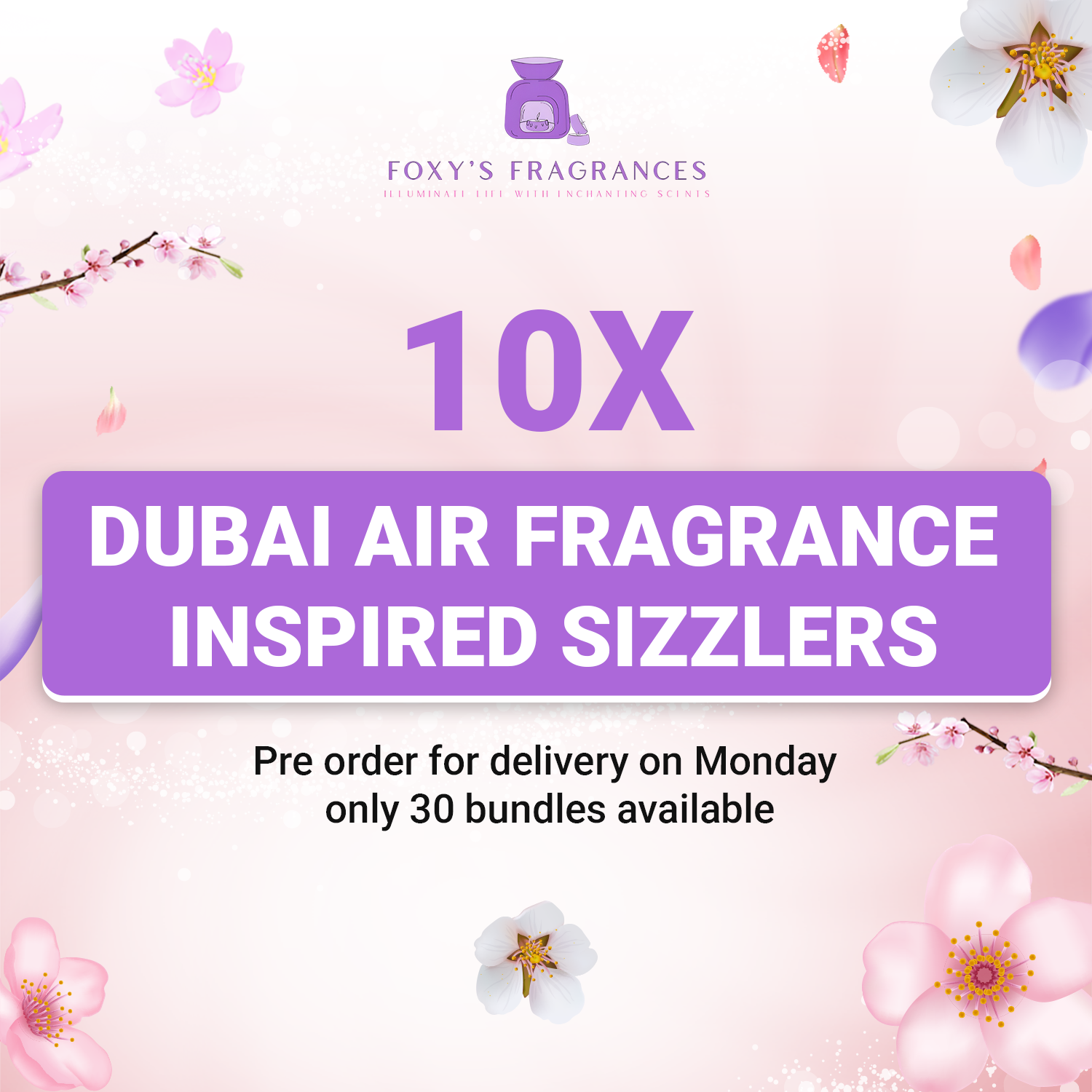 10 X *Premium* Dubai Air Freshener inspired Sizzlers